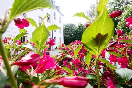 Altstadtperle Apartments & Studios Dresden Ngoại thất bức ảnh